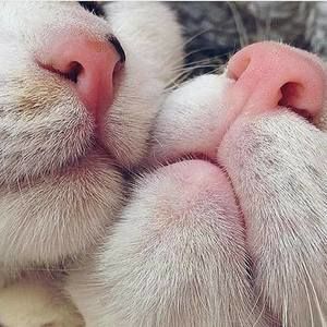 Meet your Posher, Petra